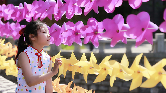 people-pink-flower-child-woman picture material