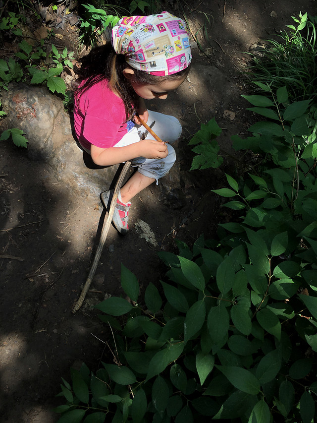 people-girl-green-child-nature picture material