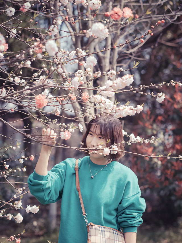 tree-people-nature-flower-girl 图片素材