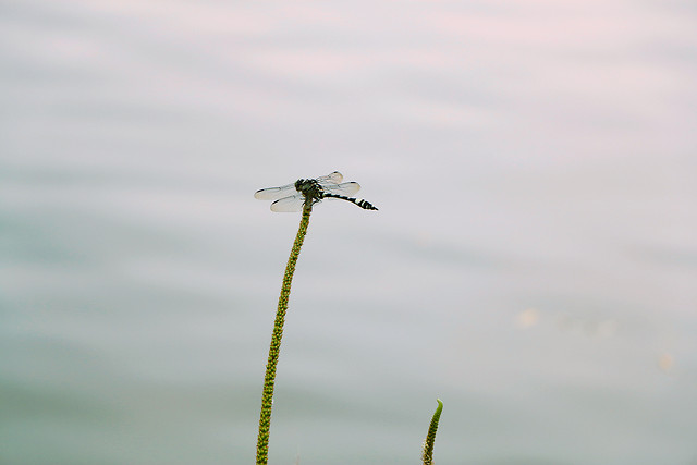 nature-no-person-sky-outdoors-wind 图片素材