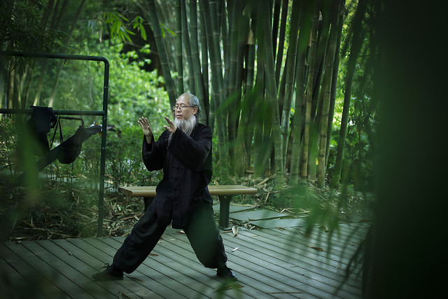 people-green-bamboo-recreation-adult 图片素材
