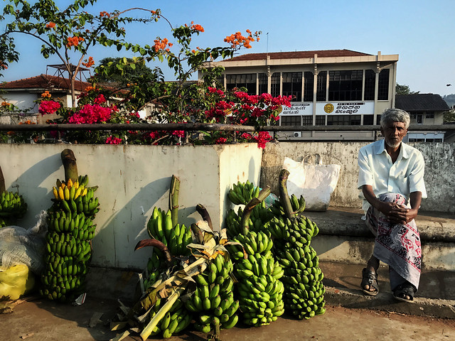 people-plant-market-group-adult 图片素材