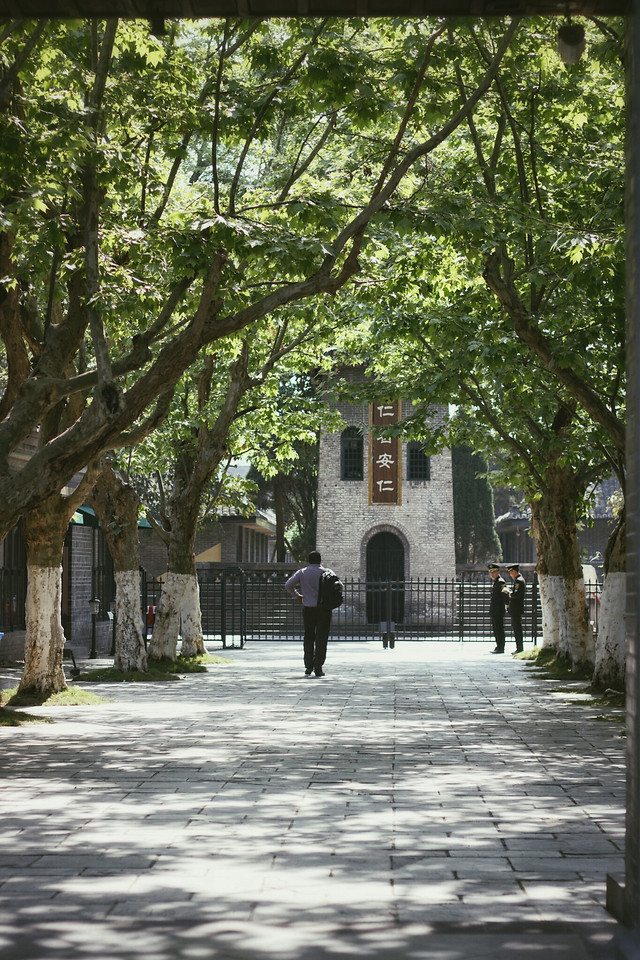 tree-park-garden-landscape-architecture 图片素材