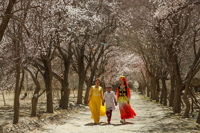 tree-snow-winter-people-road 图片素材