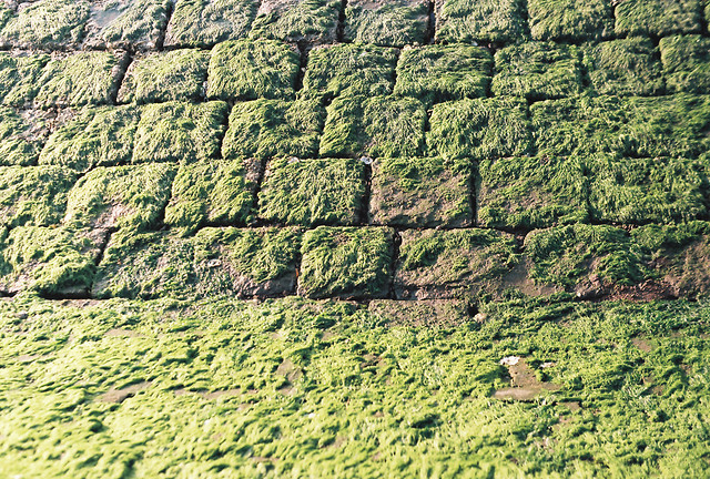 nature-landscape-desktop-agriculture-no-person 图片素材