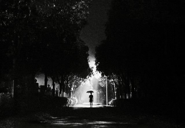 people-smoke-monochrome-tree-water picture material