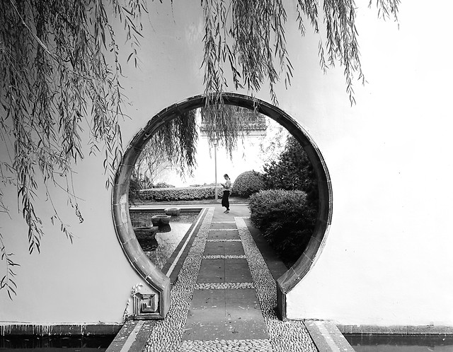 monochrome-black-white-water-street-old picture material