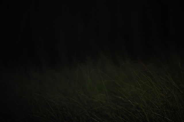 abstract-landscape-blur-black-light 图片素材