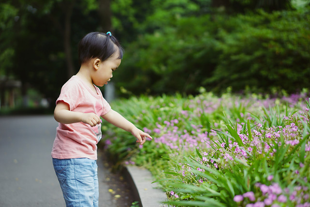 child-nature-summer-little-outdoors picture material