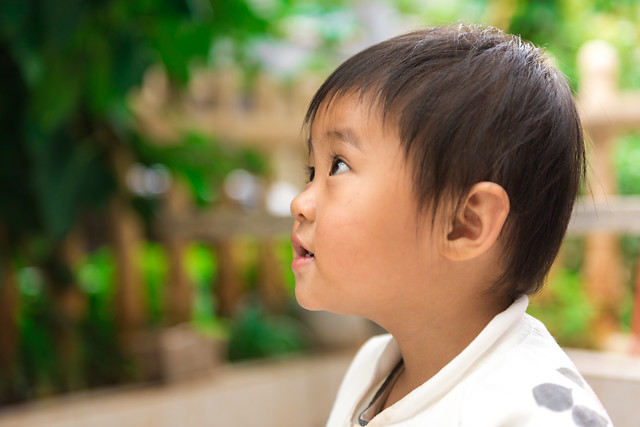 child-people-portrait-outdoors-green picture material