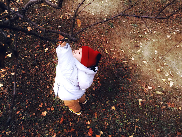 people-one-red-adult-nature 图片素材