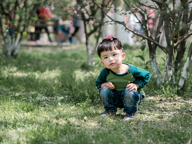 child-park-grass-fun-girl picture material