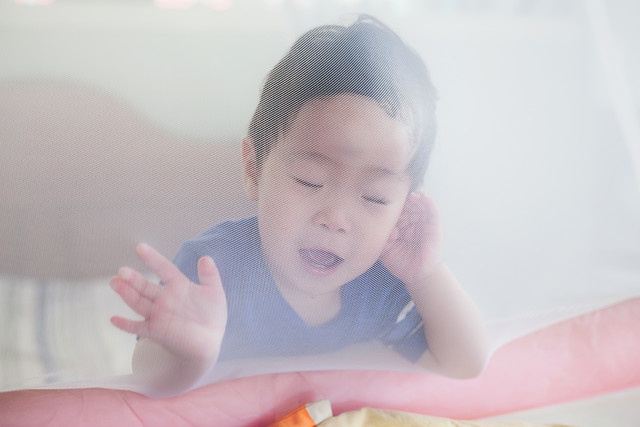 child-people-baby-girl-portrait picture material