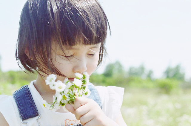 child-nature-little-summer-cute picture material