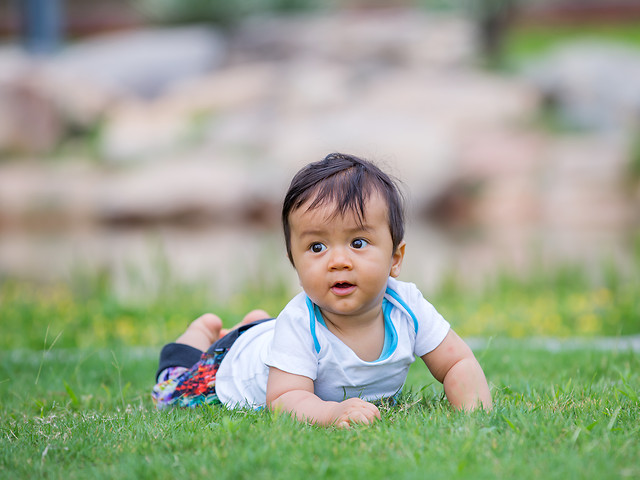 child-grass-little-cute-fun picture material