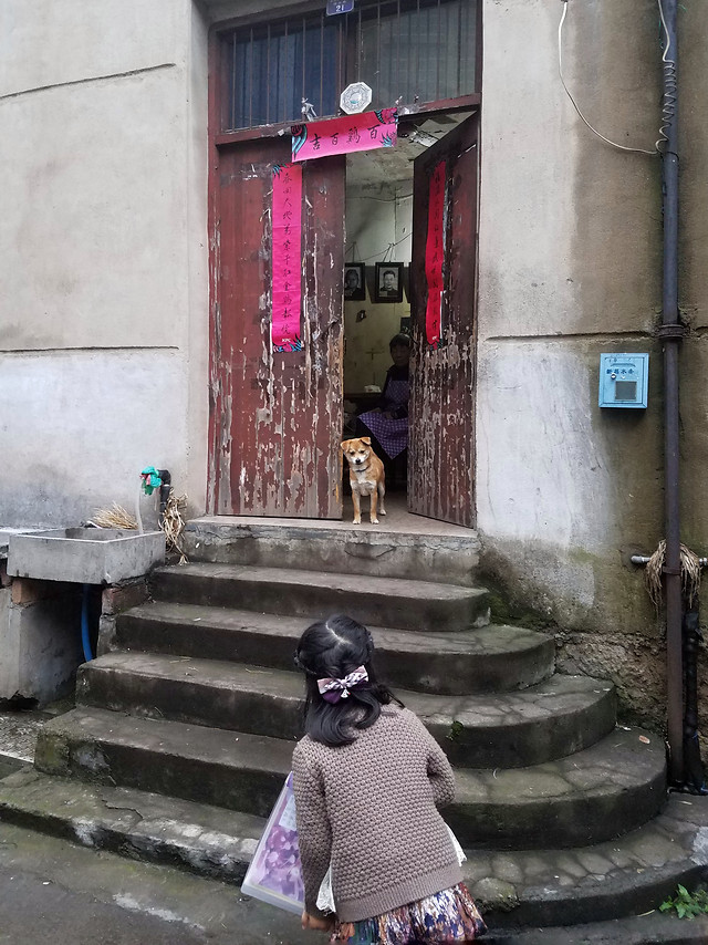 street-city-people-architecture-urban 图片素材