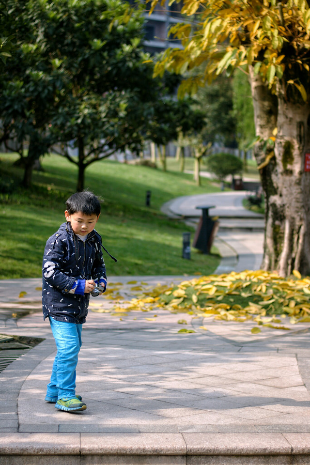 child-fall-park-outdoors-people picture material