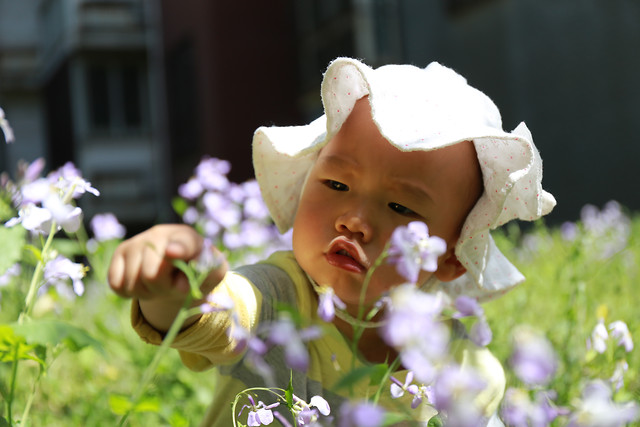 flower-child-summer-little-nature picture material