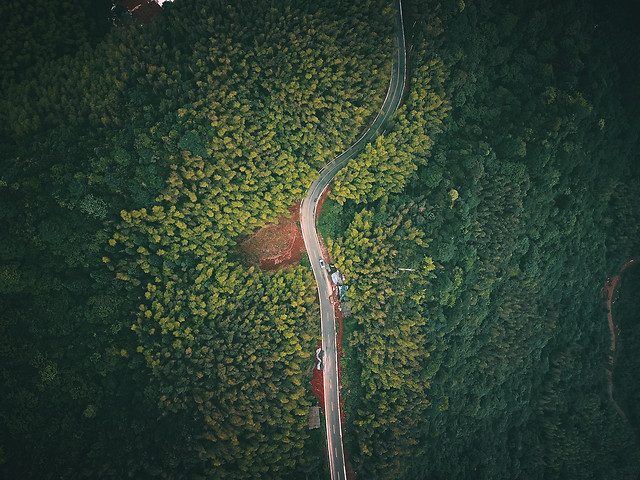 nature-water-underwater-fish-no-person 图片素材