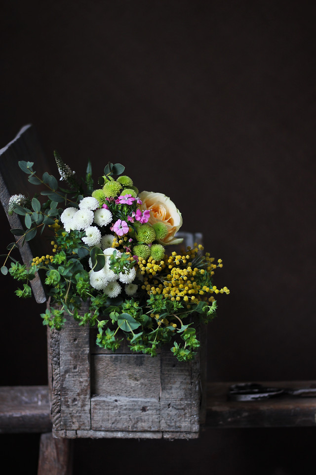 flower-no-person-flora-rose-still-life 图片素材