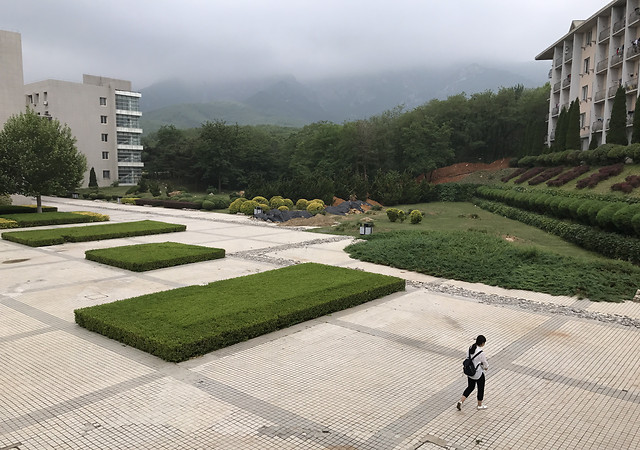 architecture-building-no-person-garden-outdoors 图片素材