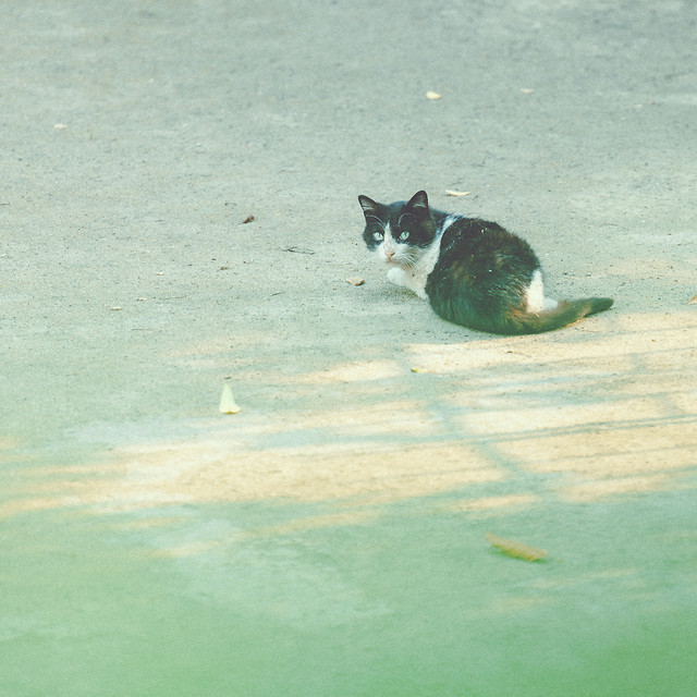 water-no-person-outdoors-summer-nature 图片素材