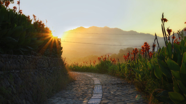 sunset-water-landscape-dawn-no-person 图片素材