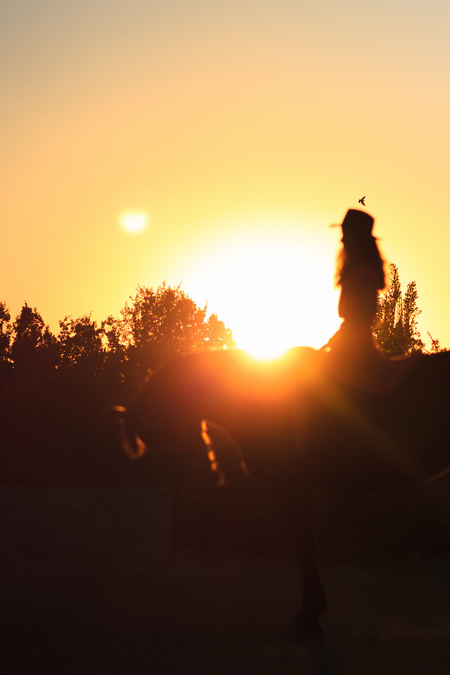 sunset-backlit-silhouette-dawn-evening picture material