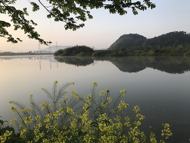 water-landscape-lake-tree-reflection 图片素材