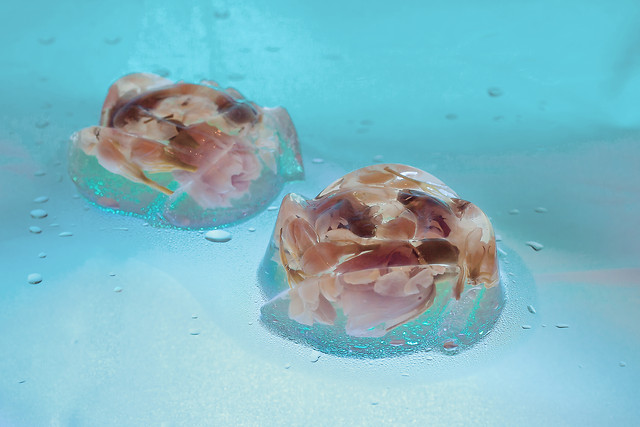 underwater-water-swimming-ocean-wet picture material