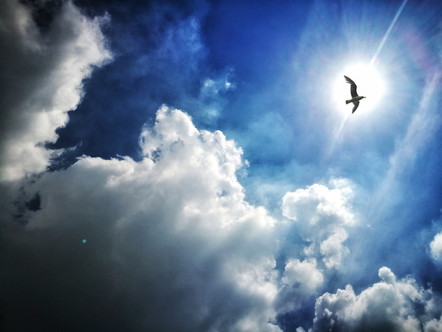sky-cloud-no-person-weather-sun picture material