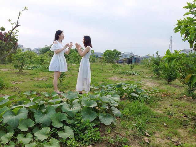 flower-tree-grass-landscape-girl 图片素材