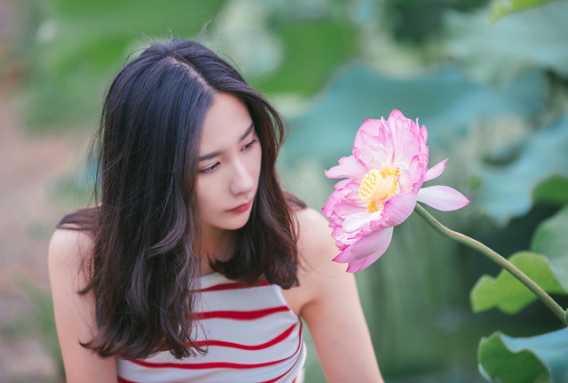 nature-summer-flower-pink-outdoors 图片素材