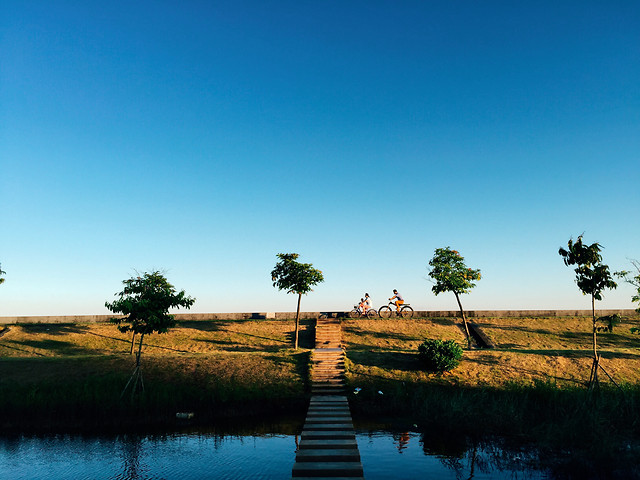 no-person-water-tree-lake-sunset 图片素材