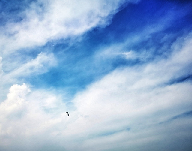 sky-daylight-landscape-outdoors-freedom picture material
