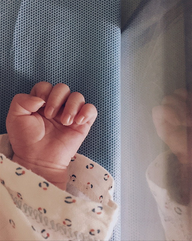 wedding-woman-people-indoors-adult 图片素材