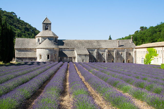 architecture-travel-no-person-flower-religion picture material