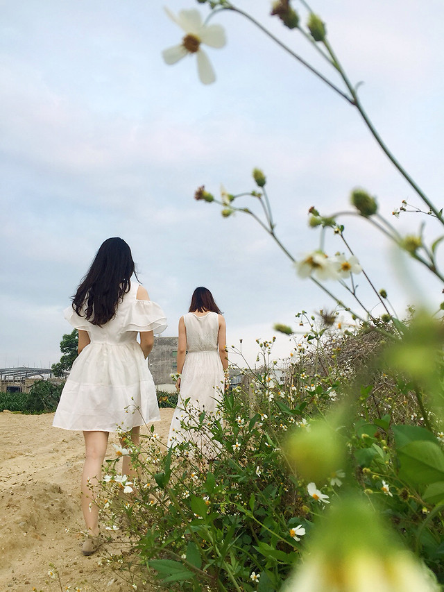 flower-summer-girl-grass-tree 图片素材