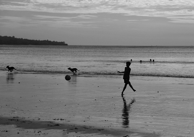 beach-water-sea-ocean-fisherman picture material