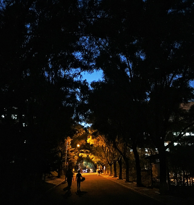 no-person-street-sky-light-nature 图片素材