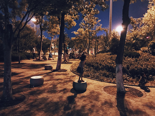 people-tree-landscape-outdoors-sky 图片素材