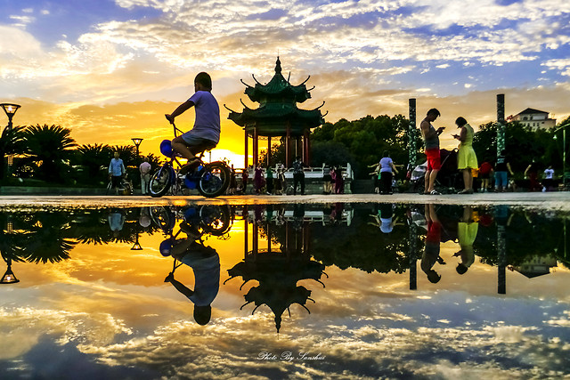 water-reflection-sky-leisure-tree picture material