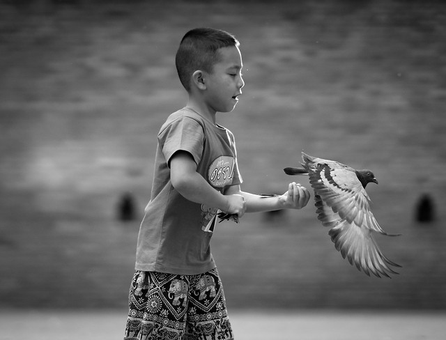 child-monochrome-people-white-photograph picture material