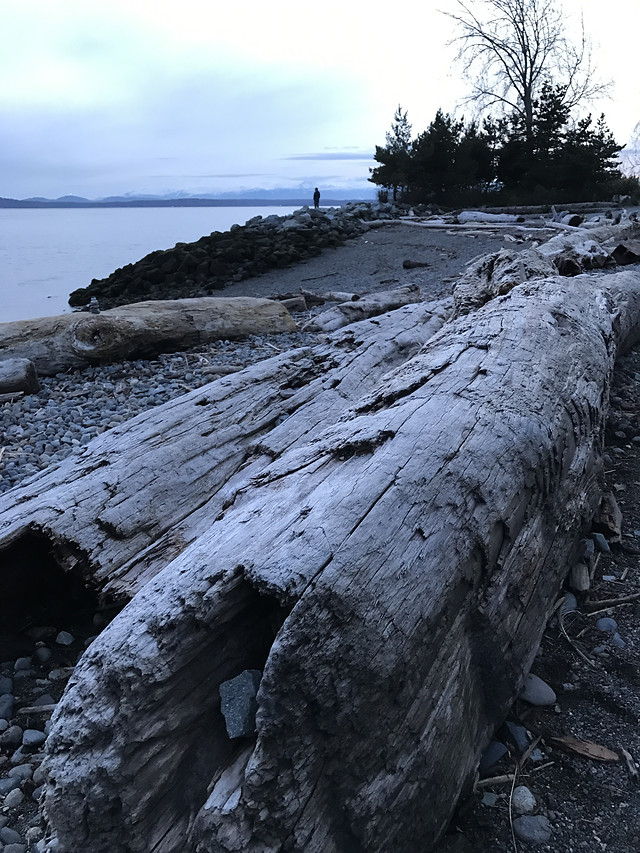 water-no-person-landscape-seashore-nature 图片素材