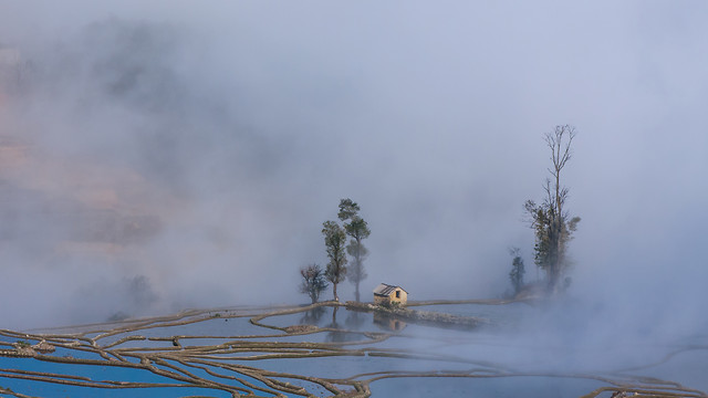 fog-winter-smoke-snow-landscape picture material