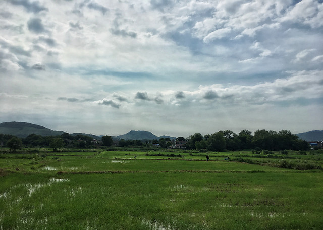 landscape-no-person-grass-outdoors-sky picture material