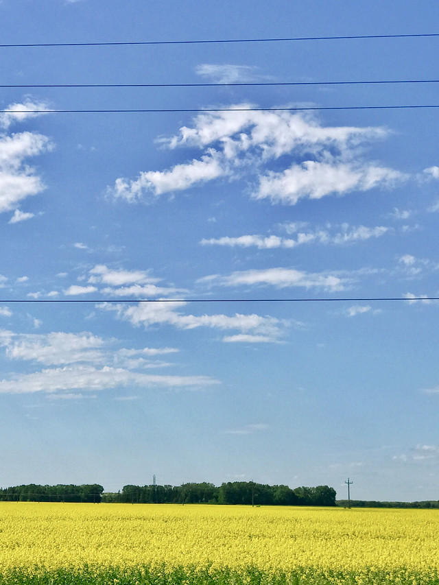 landscape-field-farm-sky-agriculture 图片素材