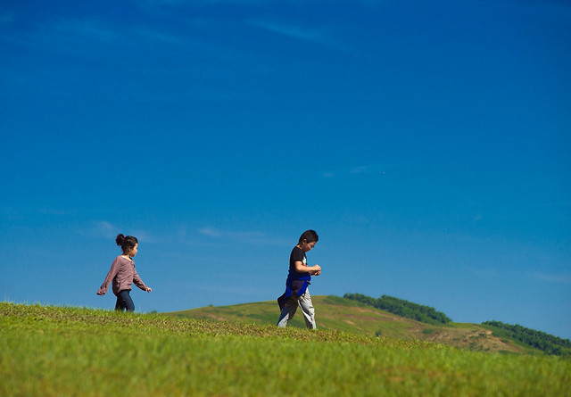 sky-grass-grassland-blue-outdoors 图片素材