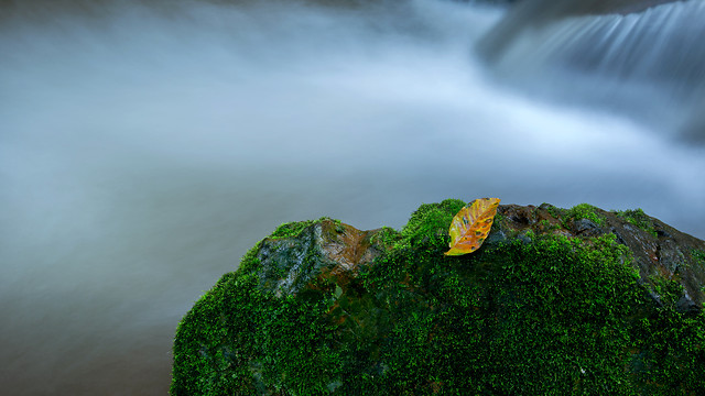 landscape-water-no-person-nature-rain 图片素材