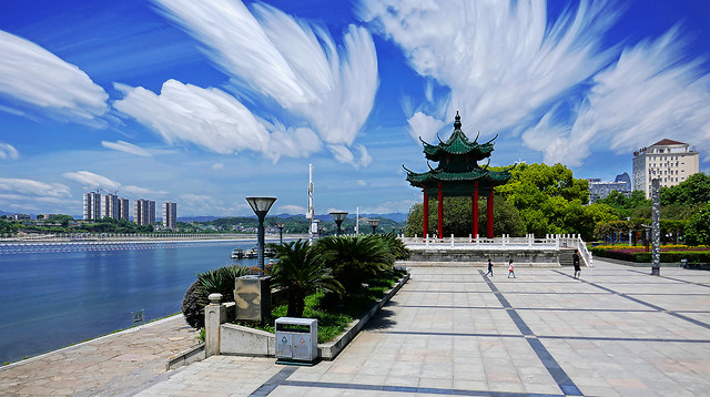 sky-water-tree-city-tourism 图片素材